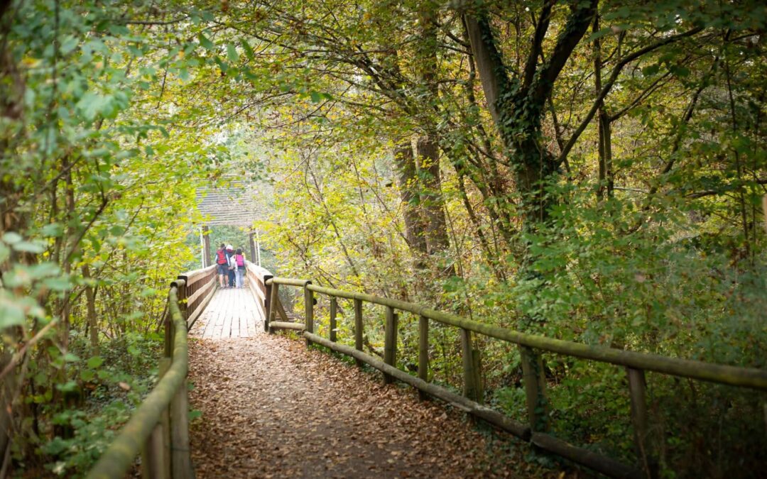 Esplora il Parco Naturale della Valle del Ticino con le escursioni di Residenza Sant’Anna