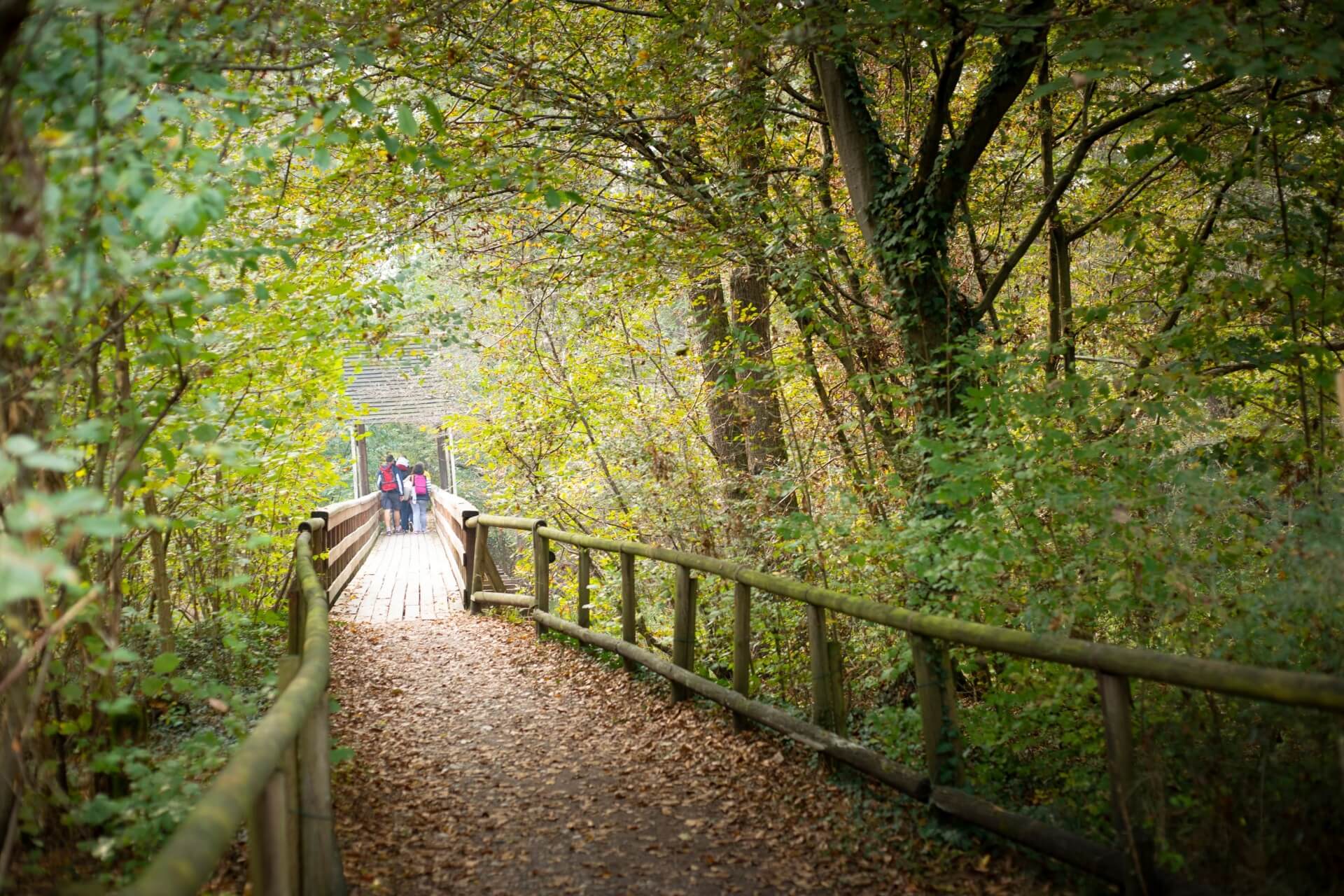 Escursioni Parco del Ticino